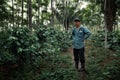robusta coffee plantation with its proud owner