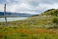 Roca Lake, the south arm of Lago Argentina in southern Patagoni Royalty Free Stock Photo