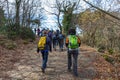 Group of hikers walk on the path in the woods