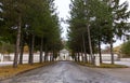 Cemetery of the village with the tree entrance, Roccaraso, Abruzzo, Italy. October 13, 2017