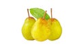 Rocha pear three whole fruits and green leaf isolated on white. Transparent png in the additional file. Royalty Free Stock Photo