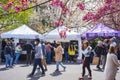 The Rochester Lilac Festival is the largest free festival where visitors can shop, hear live music, eat and explore the