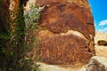 Rochester Panel Petroglyphs in Emery County, Central Utah. Royalty Free Stock Photo