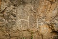 rock animals of deer of ancient people on stone cliff. Charvak