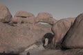 Rock Arch at Spitzkoppe, Erongo, Namibia, Africa Royalty Free Stock Photo
