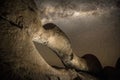 Rock arch under Milky Way