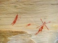 Rock art Royalty Free Stock Photo