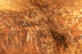 Rock art at Uluru Royalty Free Stock Photo