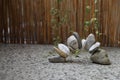 Rock balance on the patio in bridge Royalty Free Stock Photo