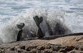 Rock balancing art on beach rocks in Laguna Beach, California.