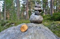 Rock balancing big rock with plucked mushroom in Pine forest at summer day Royalty Free Stock Photo