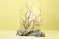 Rock base 3D yellow stone realistic empty display for product placement