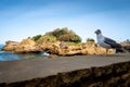 Rock of Basta and seagull in biarritz