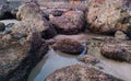 Rock beach near Kunkeshwar Temple in Sindhudurga District in Maharashtra. Royalty Free Stock Photo