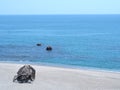 The rock on the beach with the sea. Royalty Free Stock Photo