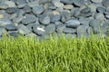 Rock bed with grass Royalty Free Stock Photo
