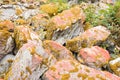 Rock boulders covered with orange lichens and moss