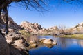 Rock boulders reflected in the calm waters of Barker Dam, Joshua Tree National Park, south California Royalty Free Stock Photo