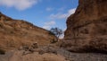 Rock cairns packed on a rock in the riverbed of the Sesriem Canyon, a popular hiking trail at Sesriem, Namibia