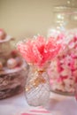 Rock Candy at Buffet Table Royalty Free Stock Photo