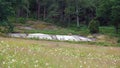 Granite bedrock in Tanum with famous rock carvings in Sweden