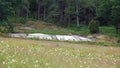 Granite bedrock in Tanum with famous rock carvings in Sweden Royalty Free Stock Photo