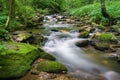 Summer View of Rock Castle Gorge Creek Royalty Free Stock Photo