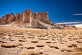 Rock cathedrals in Salar de Tara, Chile