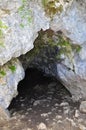 A dark cave entrance in the forest.