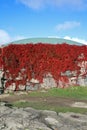 The Rock Church - Temppeliaukio Kirkko - in Helsinki. Finland Royalty Free Stock Photo