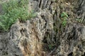 Rock cliff background, fossil rock, aquascape background material