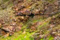 Rock cliff background, fossil rock. Stones boulders covered, close-up Royalty Free Stock Photo