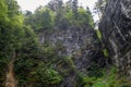 Rock cliff with fresh green trees for background