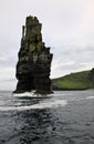 Rock of cliffs of Moher, Ireland Royalty Free Stock Photo