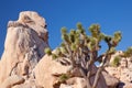 Rock Climb Joshua Tree National Park Royalty Free Stock Photo