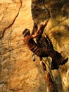 Rock climber Royalty Free Stock Photo
