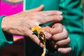 Rock climber bandages his fingers with a protection tape Royalty Free Stock Photo