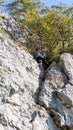 Rock climber climbing high mountains in Crni Kal Slovenia