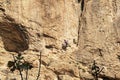 Rock Climber Clinging to a Limestone Cliff in Wadi Qelt