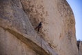 Rock Climber scaling a huge Boulder of Joshua Tree National Monument Royalty Free Stock Photo