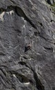 Rock Climber, French Alps Royalty Free Stock Photo