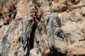 Rock climber girl in orange pants leaging climbing route on natural rock Royalty Free Stock Photo