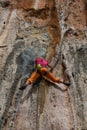 Rock climber girl in orange pants leaging climbing route on natural rock Royalty Free Stock Photo