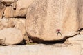 Rock climber at Joshua Tree National Park in Southern California Royalty Free Stock Photo