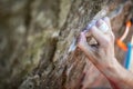 Rock climber`s hand gripping small hold on natural cliff Royalty Free Stock Photo