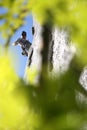 Rock climber through the trees Royalty Free Stock Photo