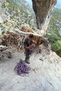 Rock climber winding a rope after ascent Royalty Free Stock Photo