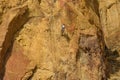 Rock climbers climb a large rock, filmed from the back Royalty Free Stock Photo