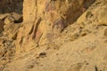 Rock climbers climb a large rock, filmed from the back Royalty Free Stock Photo