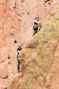 Rock climbers in Colorado Garden of the Gods